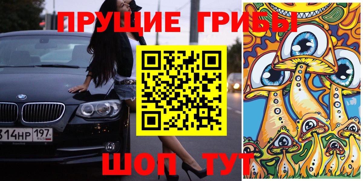 Галлюциногенные грибы Psilocybe  Вход с VPN  купить наркотики сайты  Изобильный  Галлюциногенные грибы мицелий 