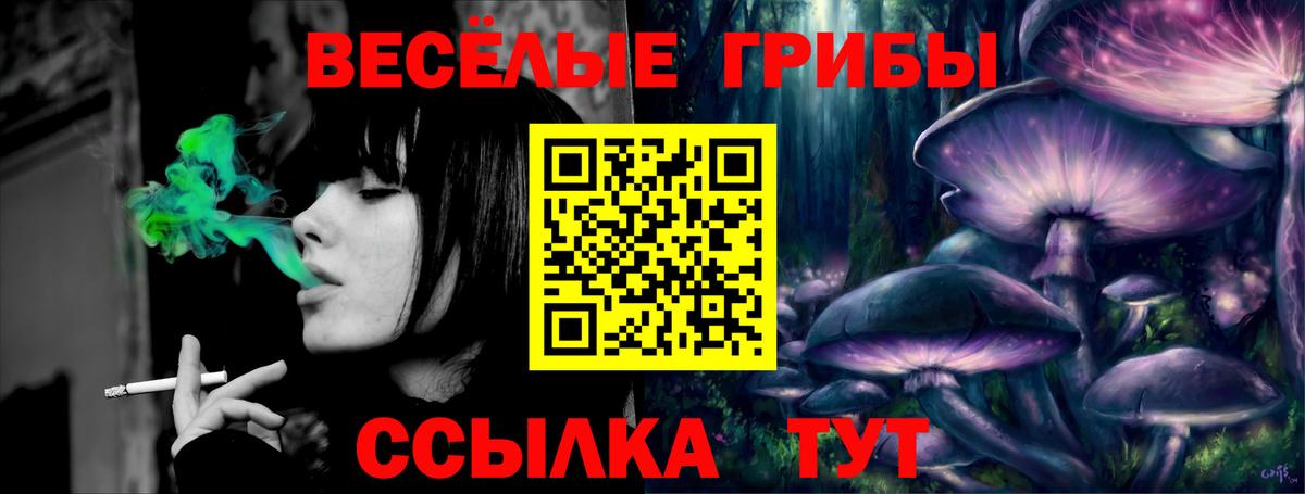 Псилоцибиновые грибы Psilocybine cubensis Изобильный